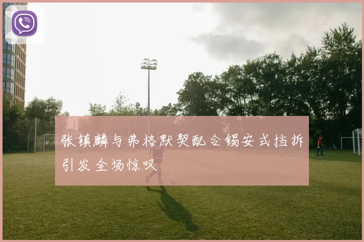 张镇麟与弗格默契配合锡安式挡拆引发全场惊叹